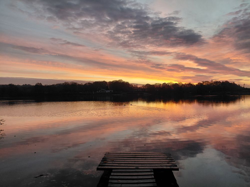 Sunrise sky with streaks of gold, lilac, blue, & grey, reflected in the perfectly still lake surface. Dark silhouettes of trees and bushes edge the far side of the lake and a fishing peg is just visible in the foreground. 