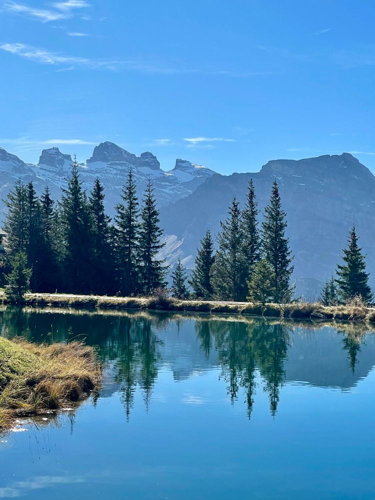 Ein blauer Bergsee, auf der Wasseroberfläche spiegeln sich die Tannen. Im Hintergrund ist eine Bergkette zu sehen. Der Himmel ist fast wolkenlos. 