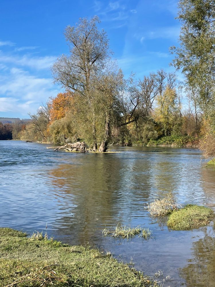 Bäume am Flussufer, die sich auf der Wasseroberfläche spiegeln. Der blaue Himmel wird teilweise von Wolken bedeckt. 