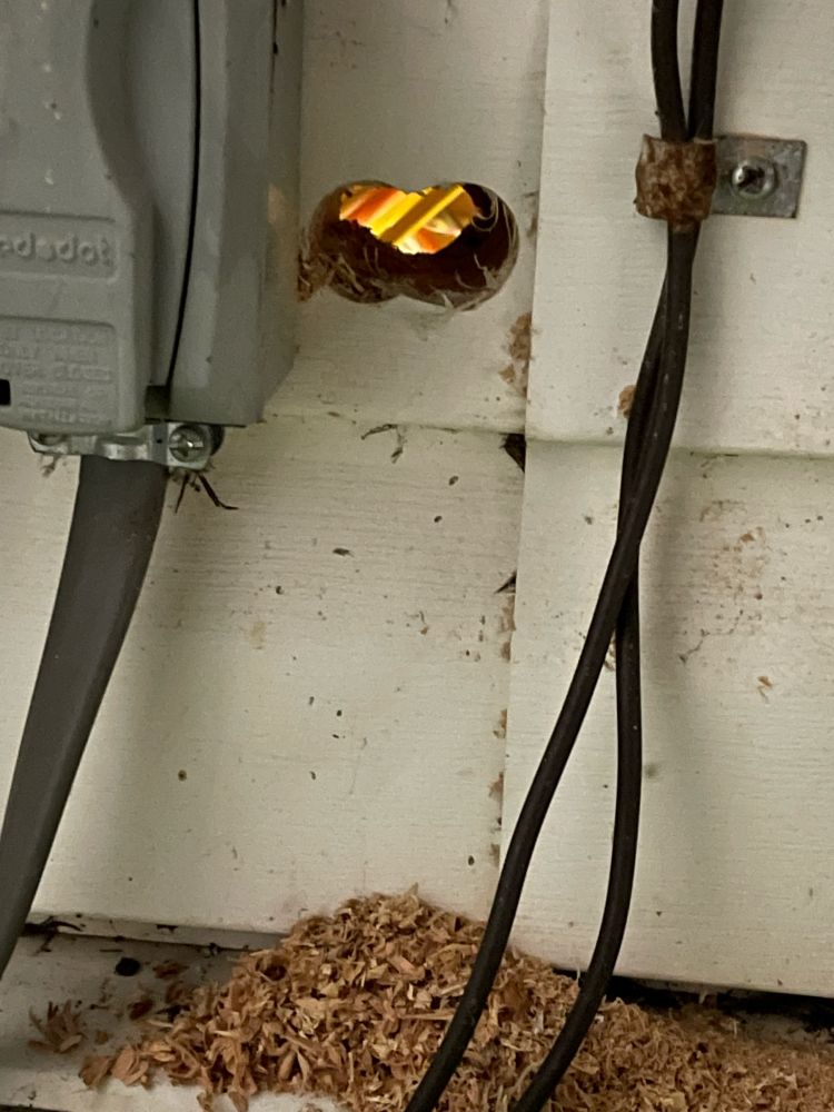 A house with a hole in it. There’s a pile of sawdust underneath.
