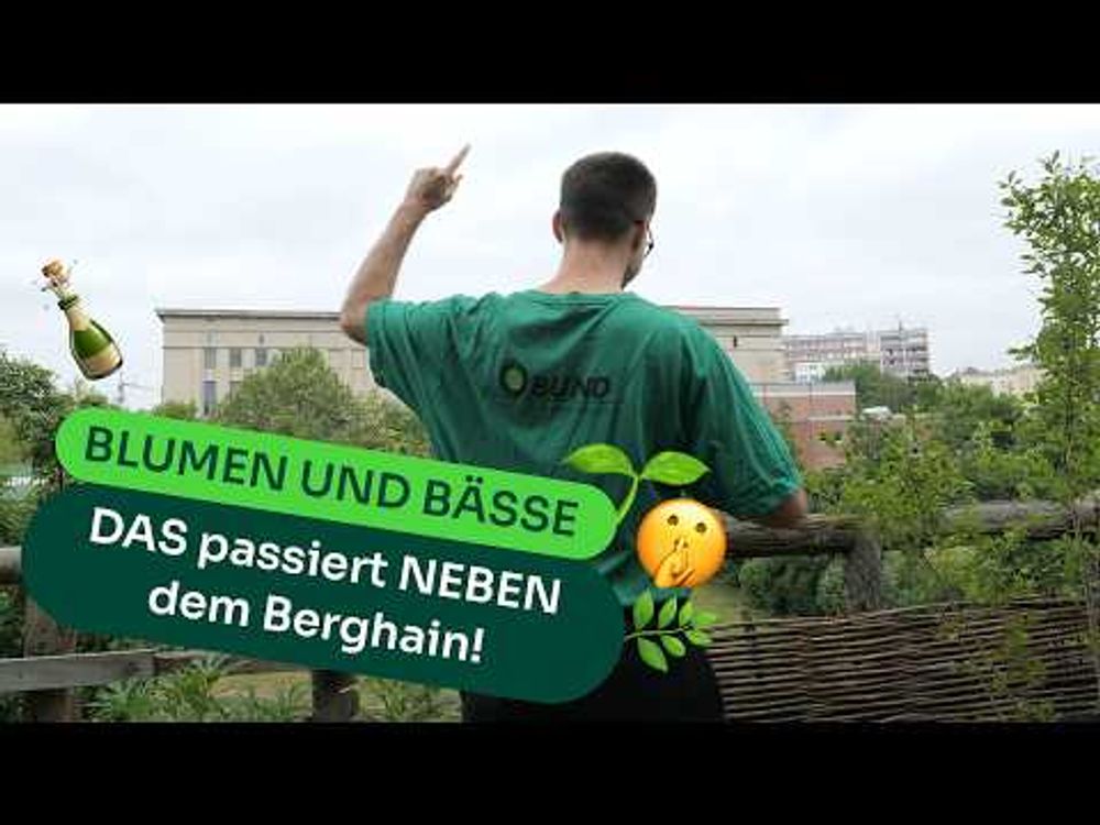 Natur statt Beton: Wie im NIRGENDWO eine grüne Oase entsteht🌿