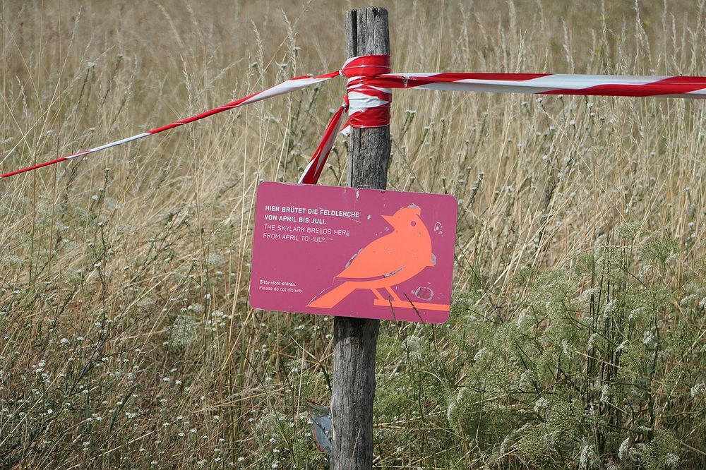 Senat muss Bebauungswettbewerb für Tempelhofer Feld stoppen