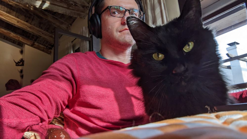 A black cat sitting on Alex's lap looking at the camera