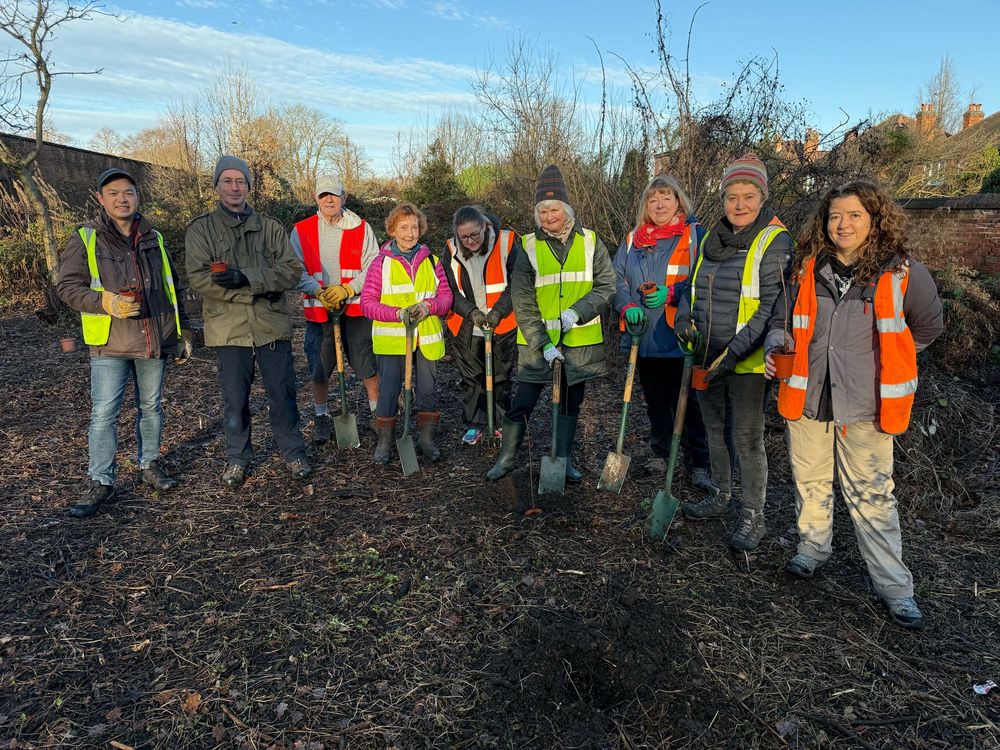Volunteers planting first tree