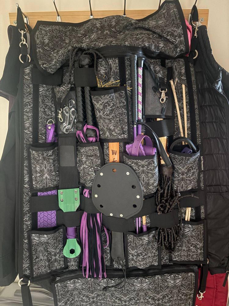 New carry case with many many bdsm tools and playthings…