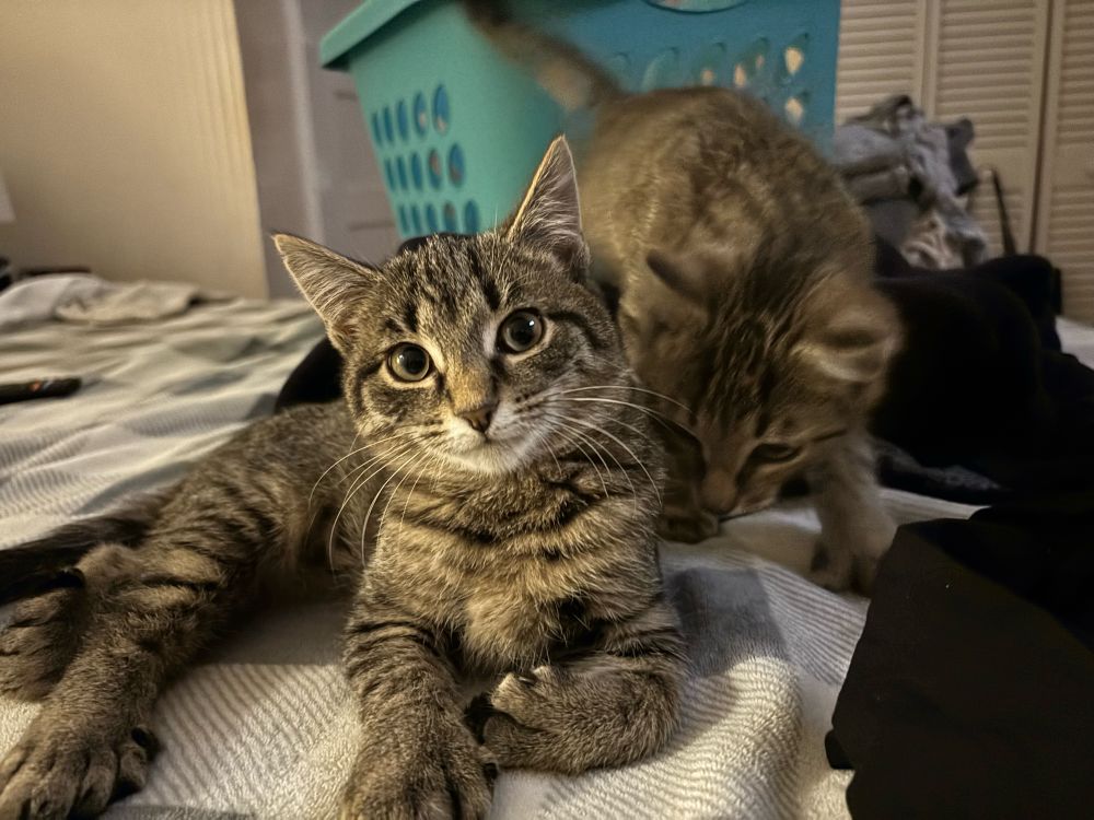 Marie, left, and Frank.