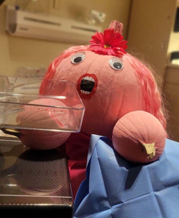 pumpkins decorated like a woman having a mammogram