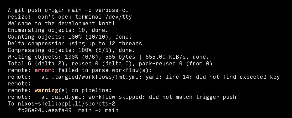 git push with the `verbose-ci` push option shows an error and a warning returned by the remote for invalid CI configurations.