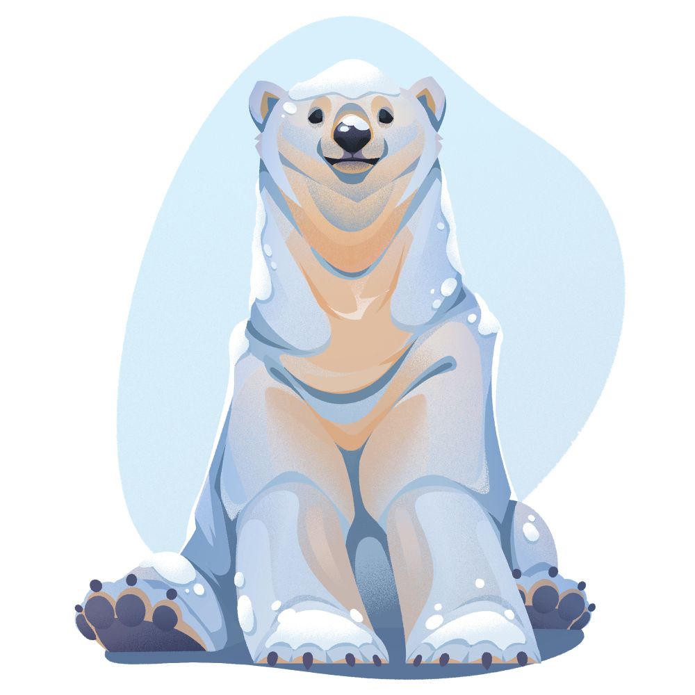 A polar bear, bear with white fur and pale yellow belly, sat upright while covered in snow