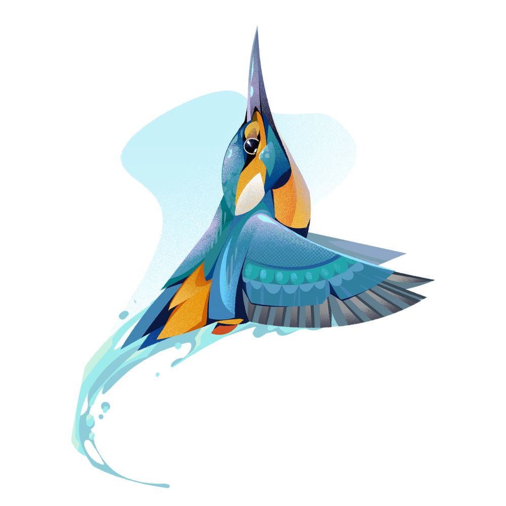 A kingfisher pointing upwards with its wings stretched in front of it, trailing splashes of water