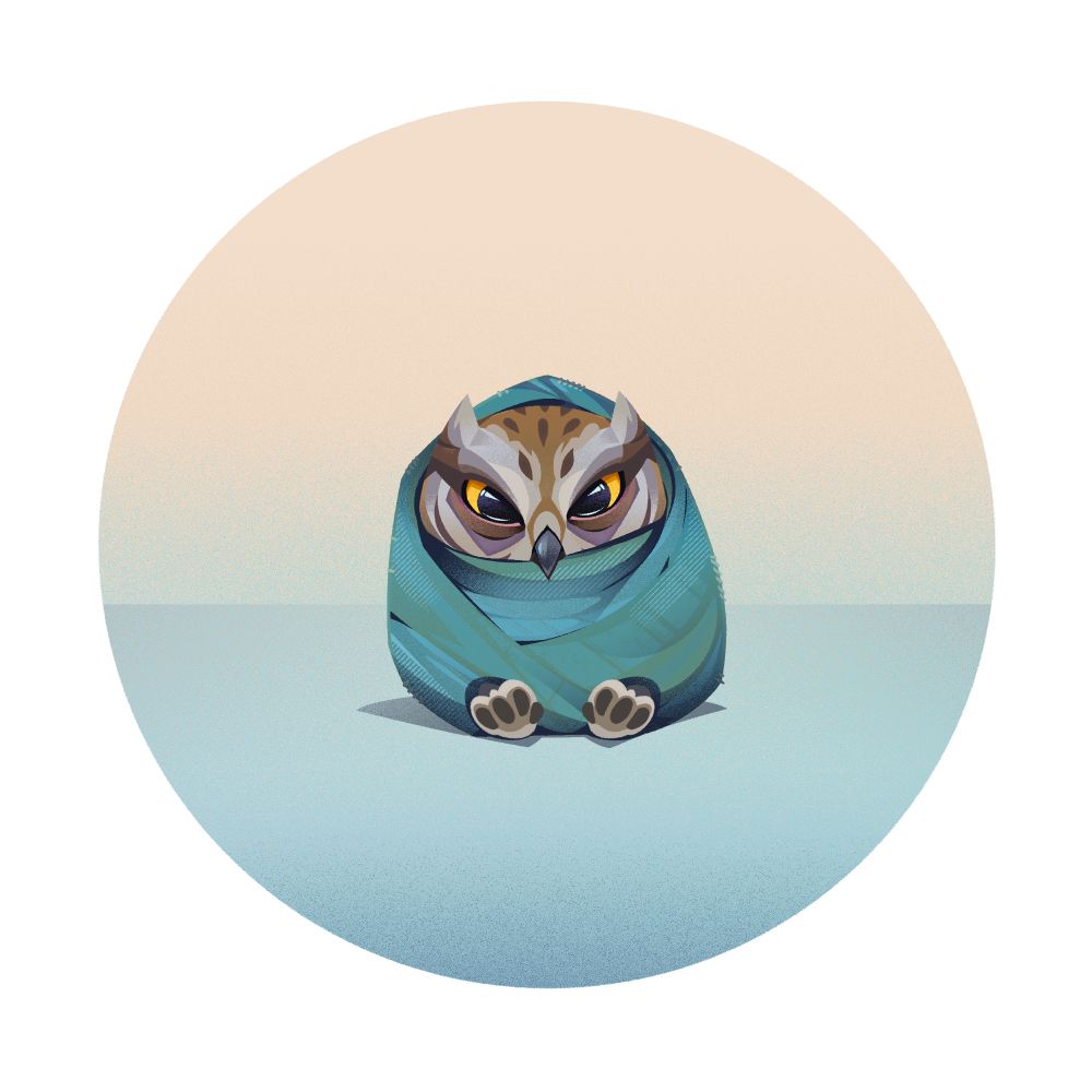 Eurasian Scops Owl wrapped up in a towel for weighing