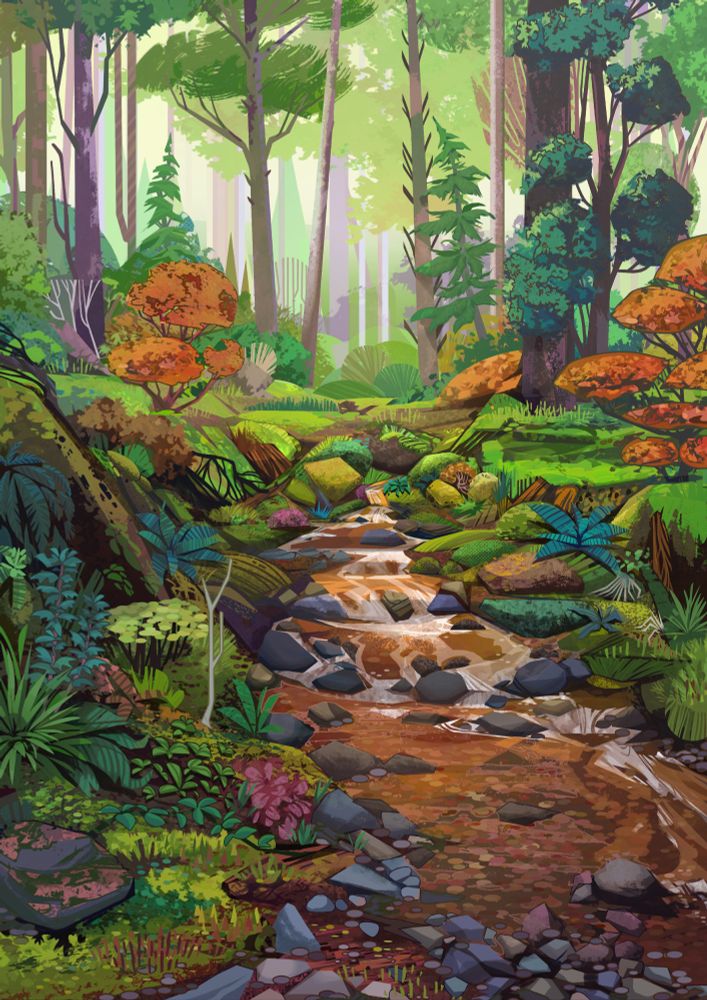 A dense forest environment with a river running through the middle