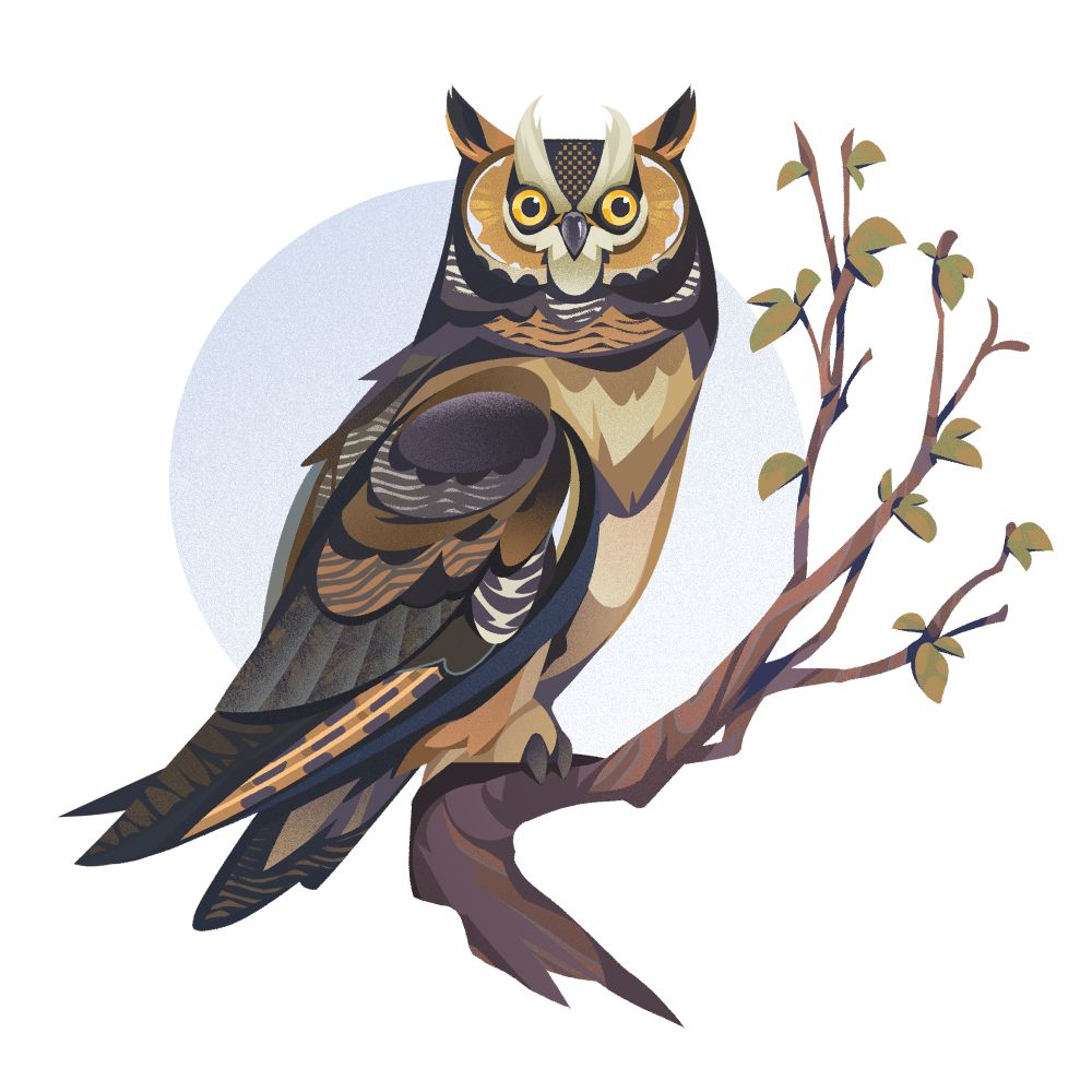 A tall brown owl with bushy white eyebrows and pointy ears perched on a leafy branch