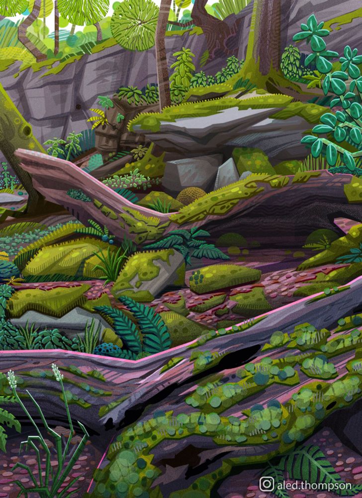 Forest floor covered in mossy logs and rocks.