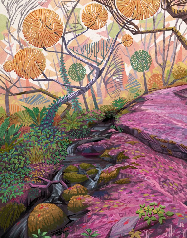 A forest with a river  running through