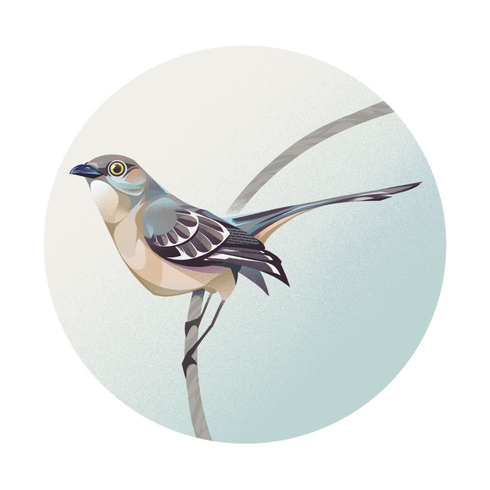 A mockingbird - a brown bird with black and white patterned wings