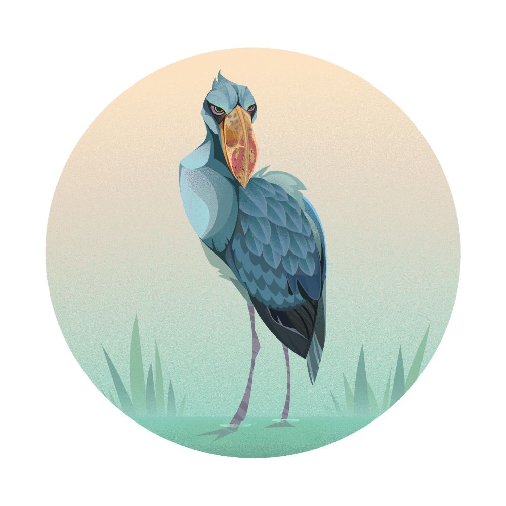 A stylized stork illustration with green/blue feathers and a large curved beak and hooded eyes and a long neck and legs