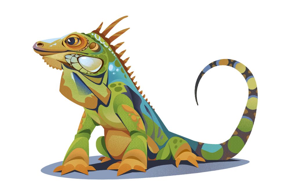 A stylized iguana, a green lizard with a spiky crest along its back, flabs of skin under its chin and a long striped tail