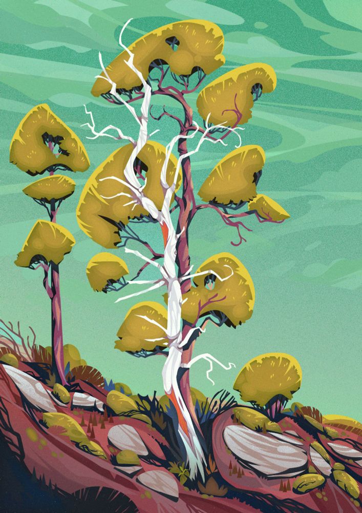 A dead bleached white tree wrapped around a living tree surrounded by bushes and stones.