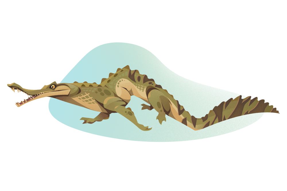 A side profile of a green/brown crocodile with a zigzag shape to its body against a blue/green blob background