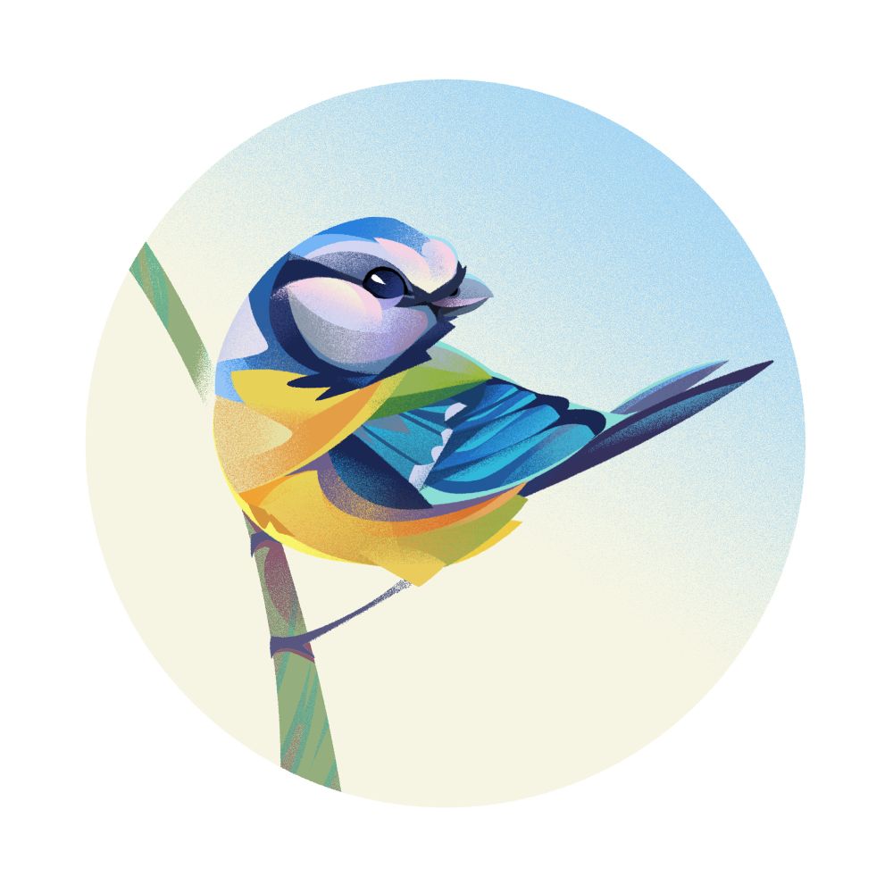A blue tit