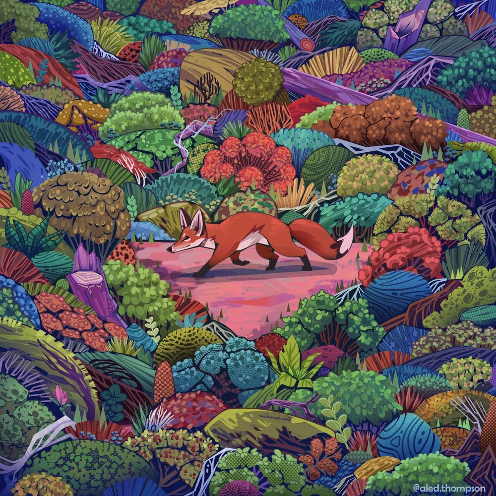 A fox crawling between some dense forest floor foliage.