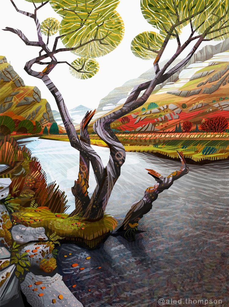A tree sticking out of the bank at the side of a shallow river with mountains in the background
