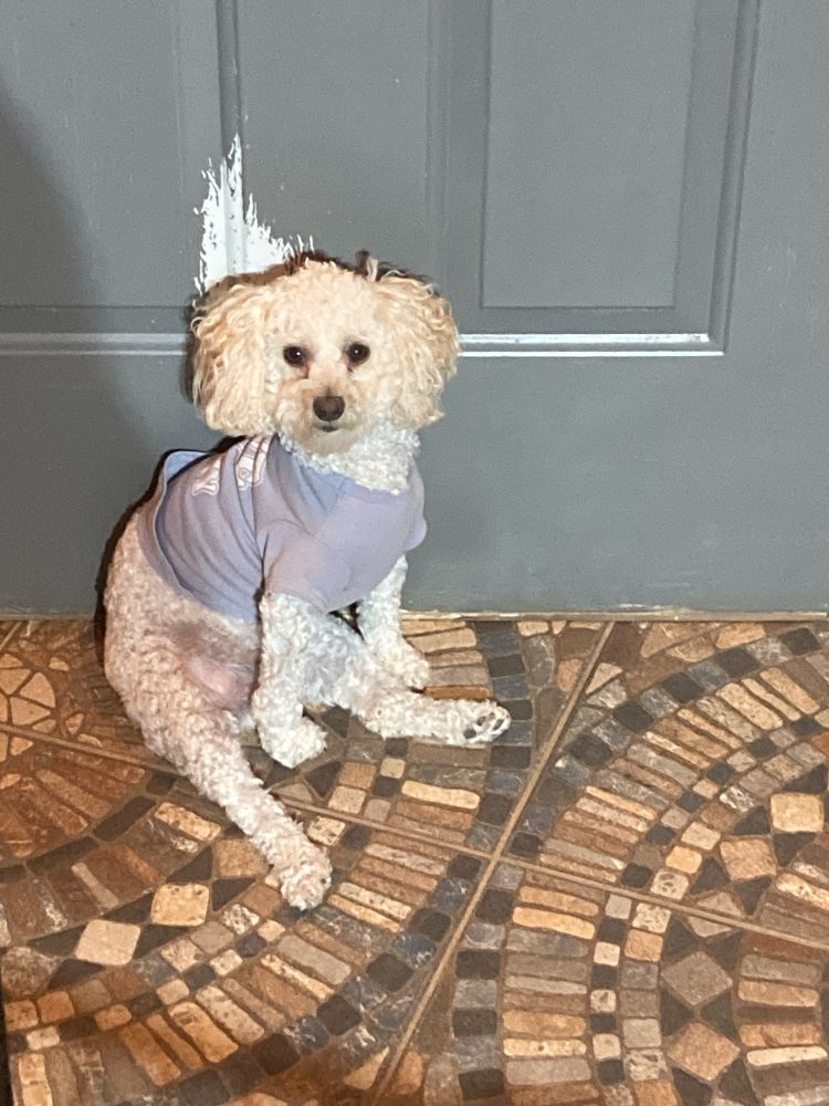 Sophie sitting with her legs extended out. Sofi sentada con sus piernas extendidas