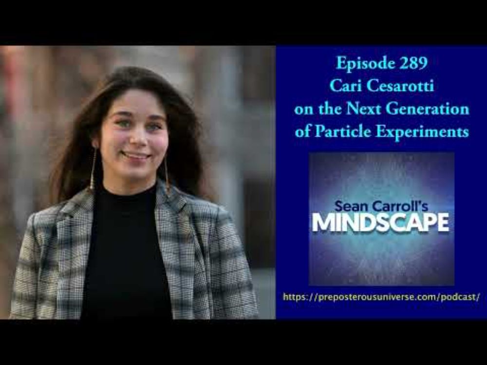 Mindscape 289 | Cari Cesarotti on the Next Generation of Particle Experiments