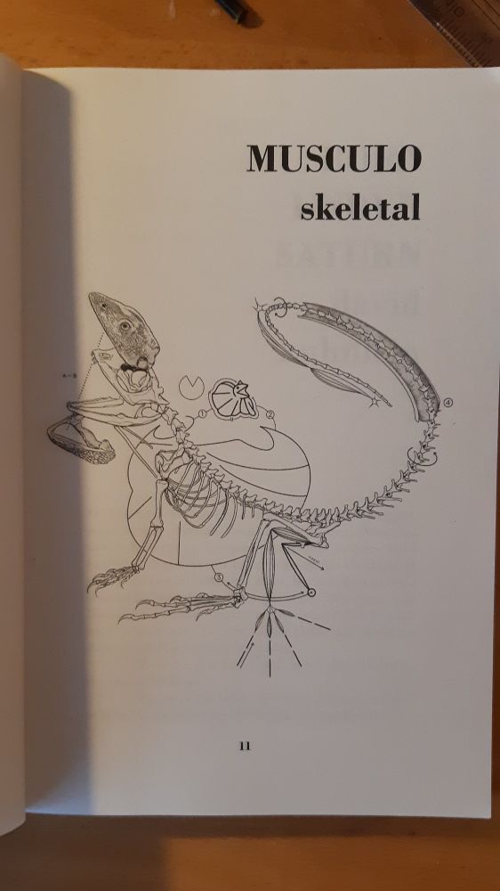 photo: interior illustration from horror anthology "LIZARD BRAIN"