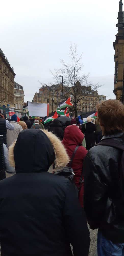 photo: sheffield march for palestine 20/01