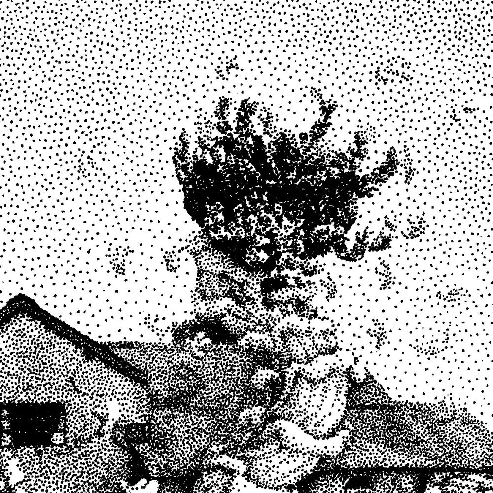 close up detail of the worm drawing