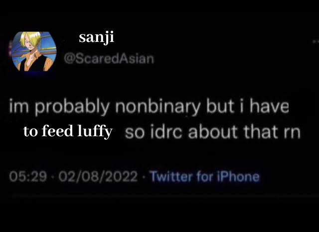 edited Twitter post that says Sanji: I'm probably nonbinary but I have to feed luffy so idrc about that rn