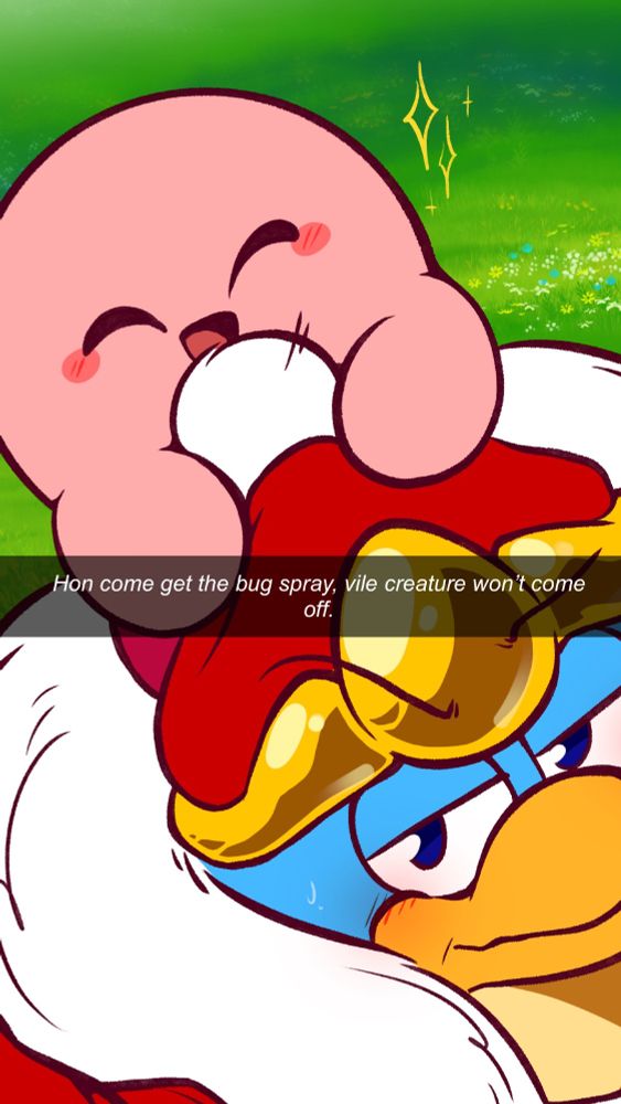 It's a picture of King Dedede with Kirby attached to his head. Kirby looks happy and joyful.... Dedede looks annoyed.... but he may be secretly enjoying it heheh.

The caption in in the middle of the screen, reading: "Hon come get the bug spray, vile creature wont come off." lol