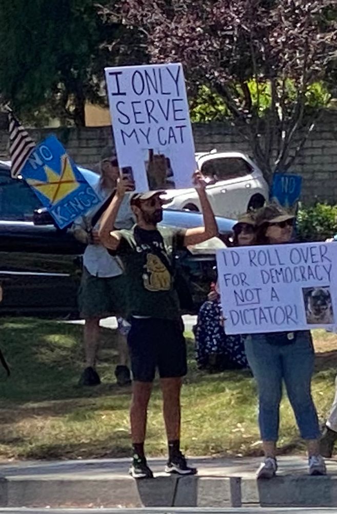 Sign says “I only serve my cat.”