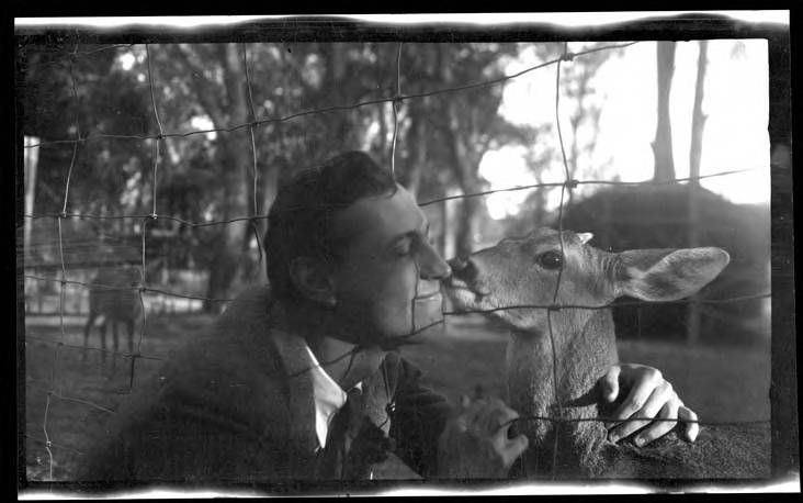 Historic photo of man being nuzzled by captive deer