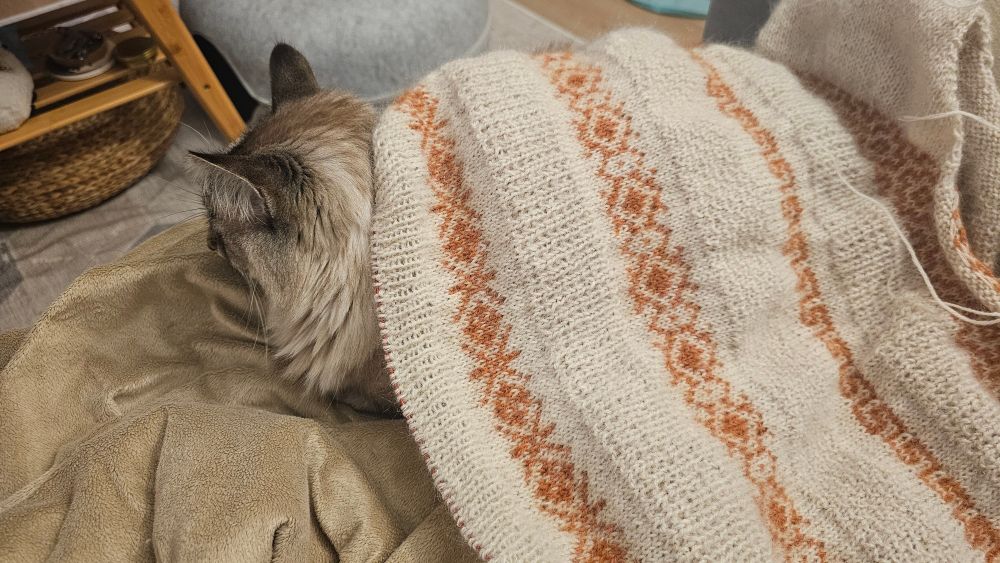 Wip sweater laying on a cat loaf. Bands of patterned texture alternate with colored patterns