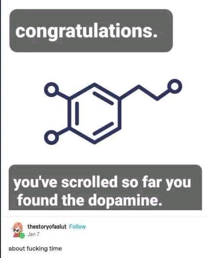 Schematic image of a dopamine molecule with text…

“Congratulations you’ve scrolled so far you found the dopamine”

And a reply:

“About f*cking time”