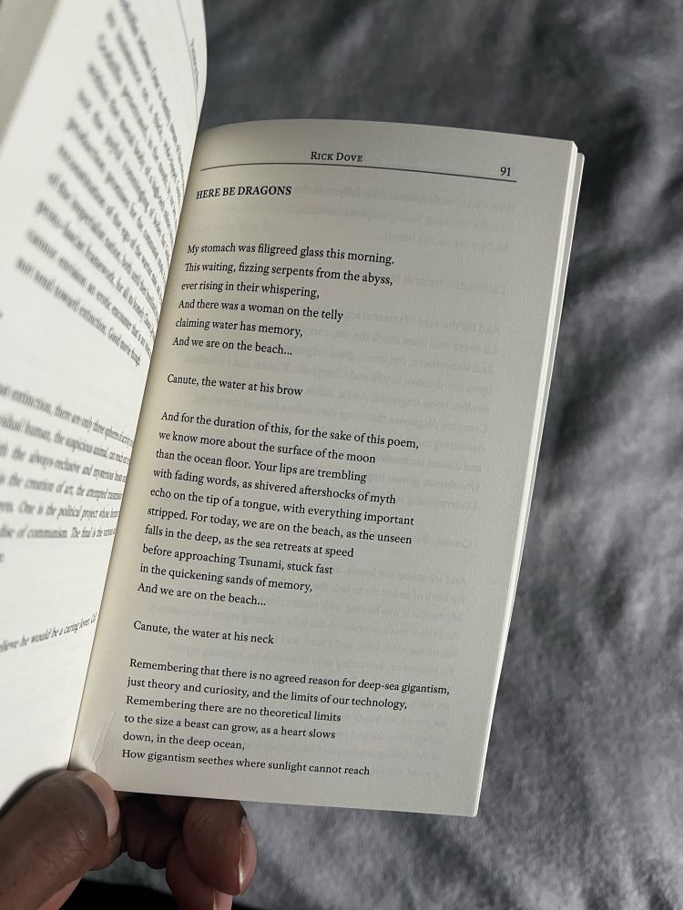 Page 91 of the interior of a book with a poem called “Here Be Dragons”