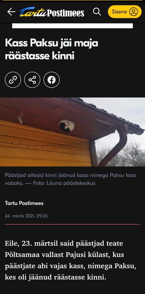 Tartu Postimees -lehden uutinen vuodelta 2021. Uutisessa on kuva talon räystään alta, jossa olevasta reiästä kurkkaa ylösalaisin oleva mustavalkoinen kissa. Uutisteksti kuuluu näin:

"Kass Paksu jäi maja räästasse kinni

Päästjad aitasid kinni jäänud kassi nimega Paksu taas vabaks.

24. märts 2021

Eile, 23. märtsil said päästjad teate Põltsamaa vallast Pajusi külast, kus päästjate abi vajas kass, nimega Paksu, kes oli jäänud räästasse kinni.

Kass oli roninud räästa alla ning ajanud pea läbi kohtvalgusti augu. Paraku kassike ise enam oma pead august kätte ei saanud ning pererahvas kutsus appi päästeameti.

Päästjad võtsid kaks räästalauda lahti ja vabastasid Paksu lõksust."