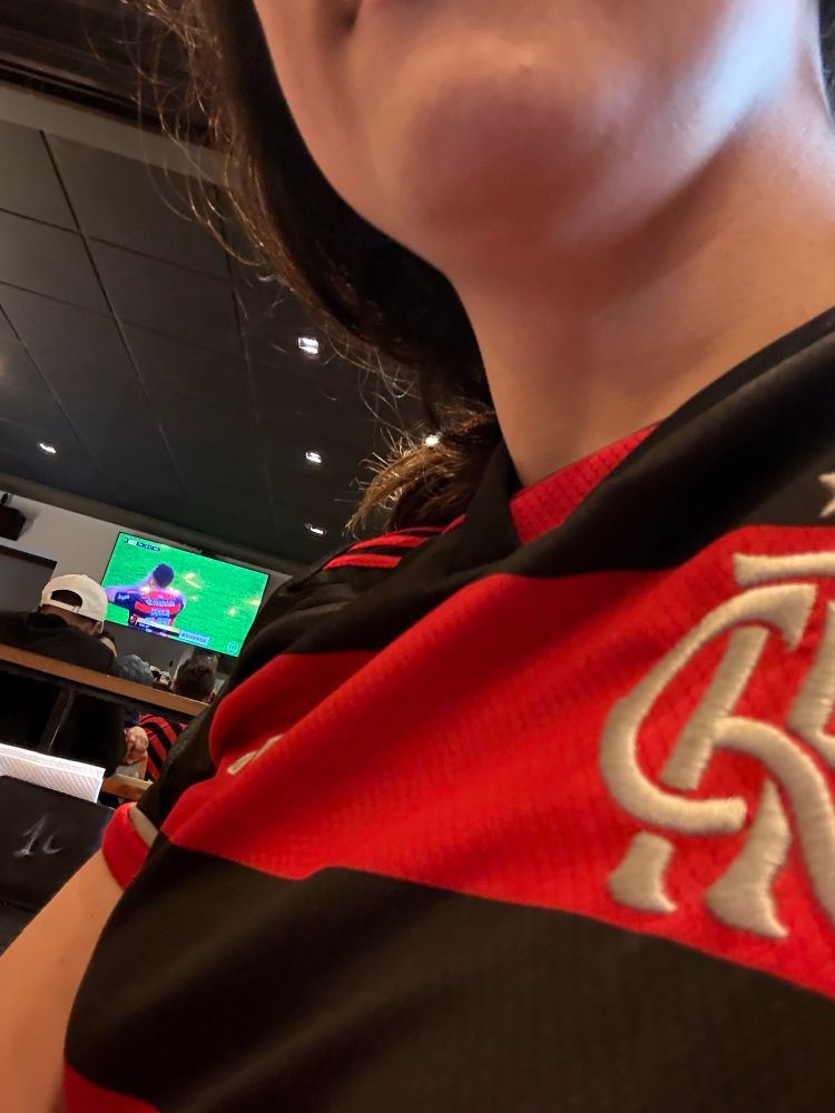 Foto minha mostrando a camisa do Flamengo e ao fundo a tv passando jogo