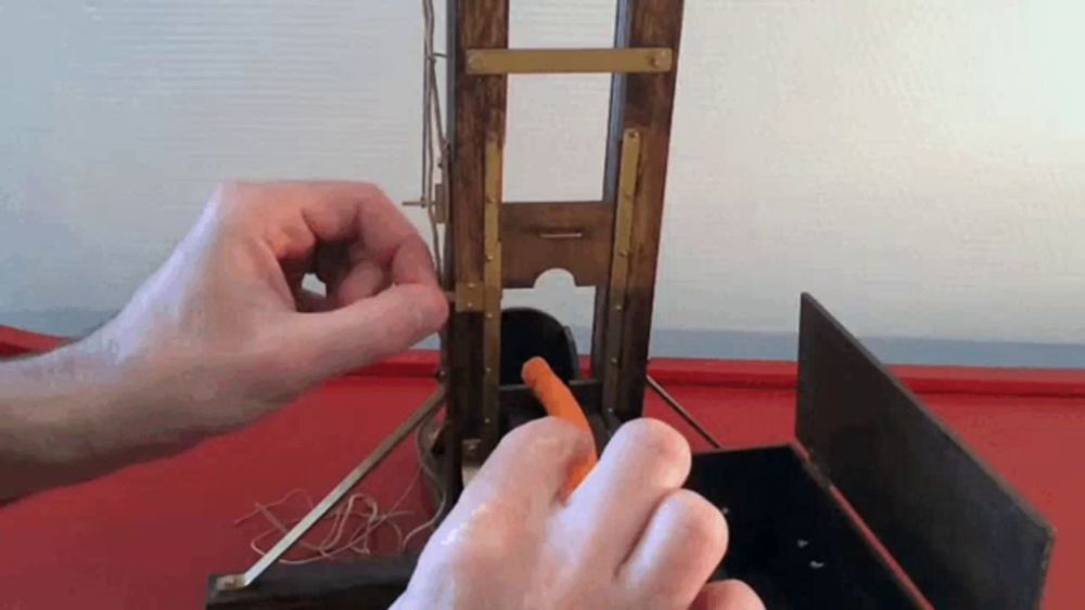 a person is holding a carrot in a guillotine