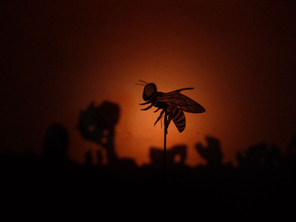 A bee flies over a desert landscape