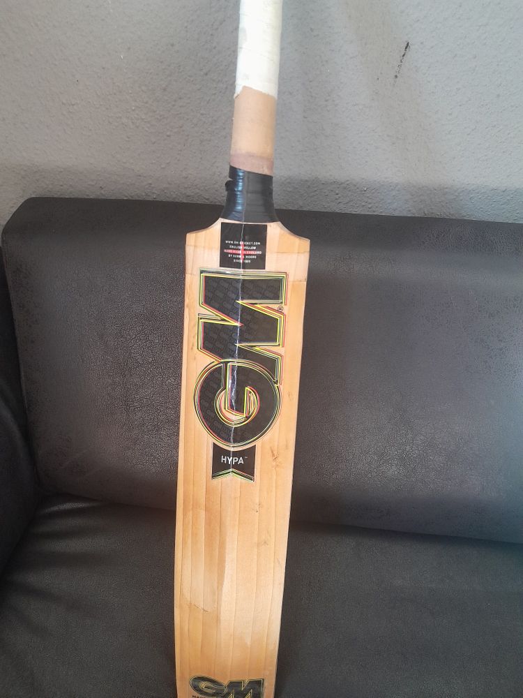 Cricket bat on a black couch.