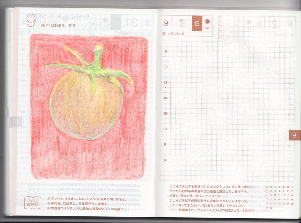 Colored pencil illustration of a tomato on a red background