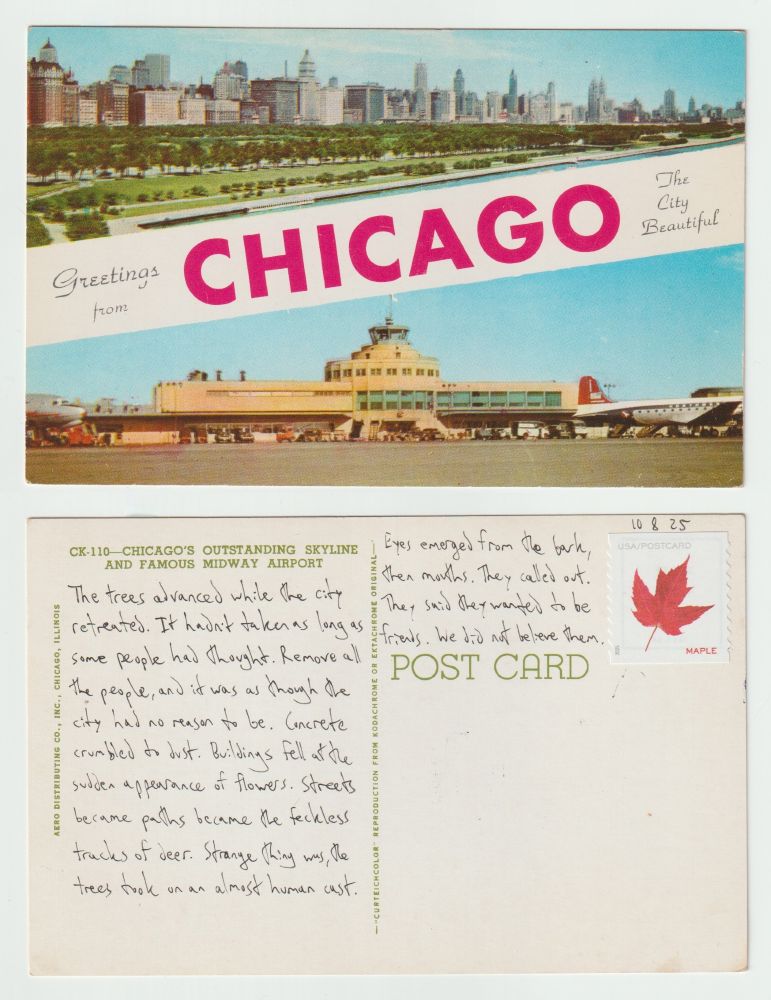 A postcard, front and back.

The front shows two views from Chicago, split diagonally by text saying, Greetings from Chicago The City Beautiful. The bottom is a view from the runway of Midway Airport. The top is of the Chicago skyline, with foreground taken up by a gigantic greenspace/park and the buildings in ranks in the background.

The back reads: The trees advanced while the city retreated. It hadn't taken as long as some people had thought. Remove all the people, and it was as thought the city had no reason to be. Concrete crumbled to dust. Buildings fell at the sudden appearance of flowers. Streets became paths became the feckless tracks of deer. Strange thing was, the trees took on an almost human cast. Eyes emerged from the bark, then mouths. They called out. They said they wanted to be friends. We did not believe them.
