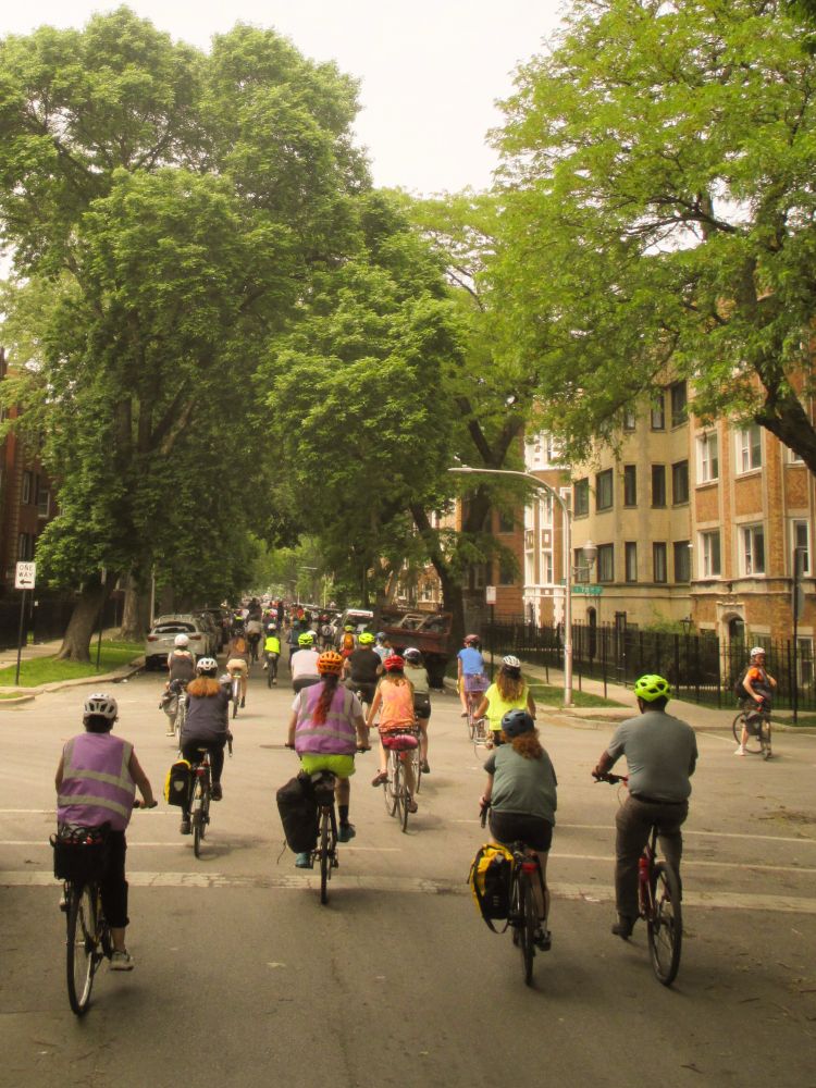 cyclists crossing an intersection together on a group bike ride. marshals in purple safety vests are keeping riders safe. trees line a cute chicago neighborhood street. 
