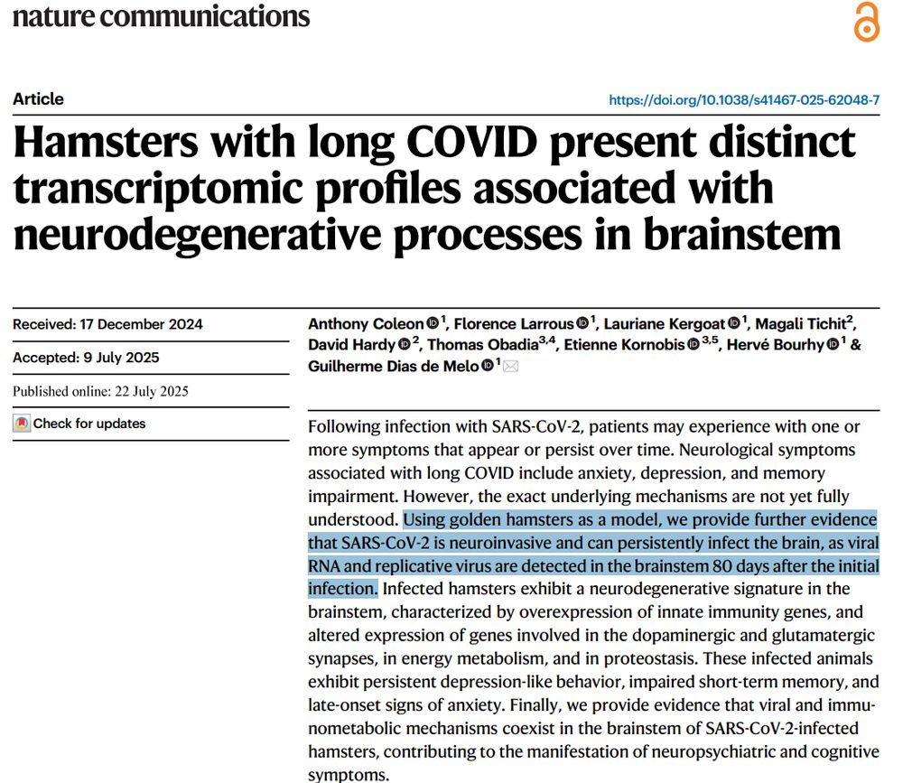 Hamsters with long COVID present distinct transcriptomic profiles associated with neurodegenerative processes in brainstem