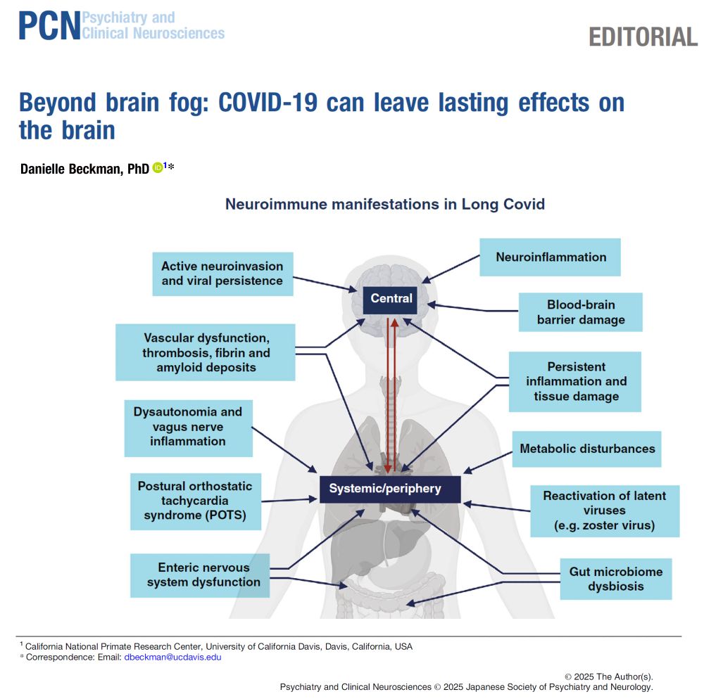 Beyond brain fog: COVID-19 can leave lasting effects on the brain. Image shows a summary of the key findings observed in autopsy and animal studies investigating how SARS-CoV-2 can impact the body and induce neuroimmune dysregulation. A disruption in how the brain communicates with the body can lead to the development of several complex symptoms, which have been observed in Long Covid patients.