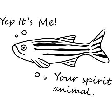 Zebrafish is your spirit animal.